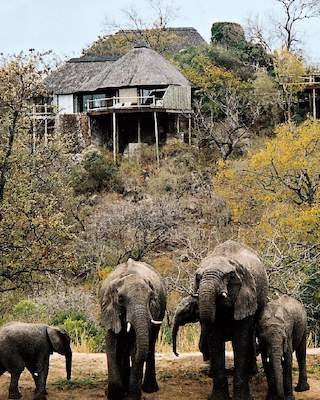 Africa